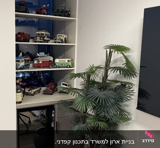 מדף עם דגמי מכוניות וצמח דקורטיבי